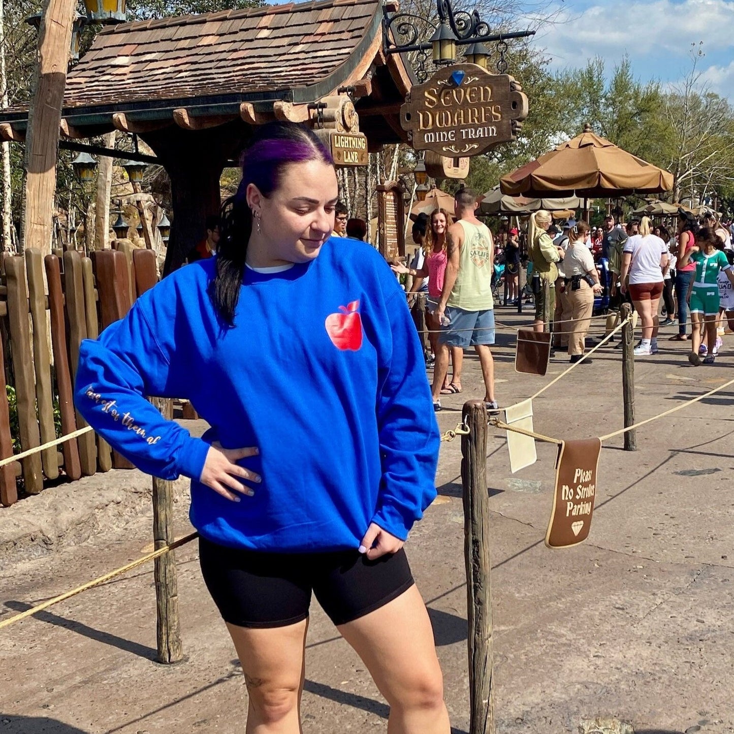 Snow White Inspired Sweatshirt, Disney Inspired Shirt